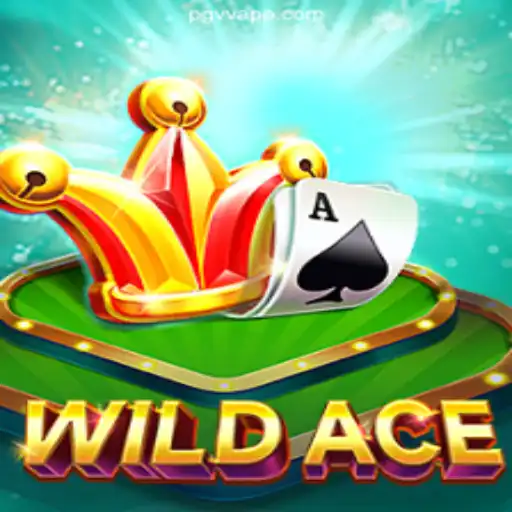 Discover the Thrills of WildAce